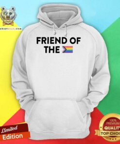 Awesome Friend Of Pride Hoodie