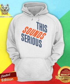 Awesome This Sounds Serious Hoodie