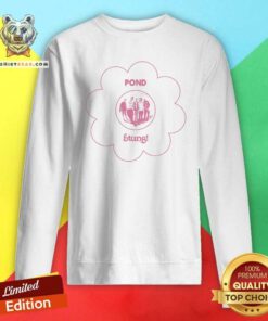 Nice Pond Stung Sweatshirt