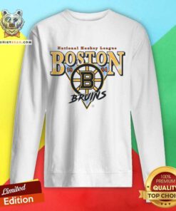 Awesome National Hockey League Boston Bruins 1924 Sweatshirt