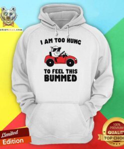 Great I Am Too Hung To Feel This Bummed Hoodie