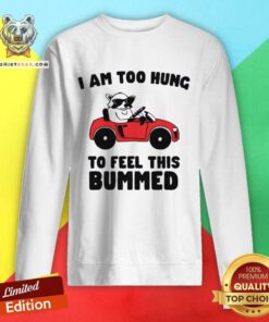 Great I Am Too Hung To Feel This Bummed Sweatshirt
