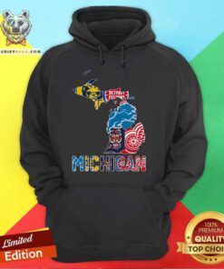 Great Michigan Sports Teams Wolverines Detroit Tigers Hoodie