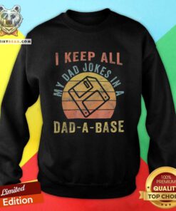 Nice I Keep All My Dad Jokes In A Dad-A-Base Vintage Sweatshirt