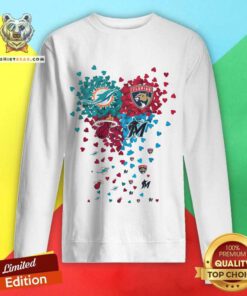 Nice Miami Dolphins Florida Panther Miami Heat Miami Marlin Sport Sweatshirt