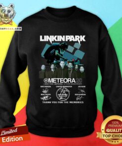 Pretty Linkin Park Meteora 20 Year Anniversary Sweatshirt