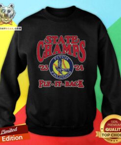 Funny Austintown Fitch Softball State Champs Fly It Back Sweatshirt