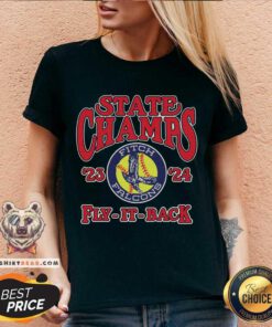 Funny Austintown Fitch Softball State Champs Fly It Back V-neck