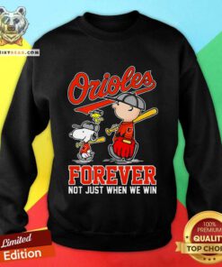 Nice Charlie Brown Snoopy And Woodstock We Win Baltimore Orioles Sweatshirt