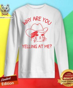 Awesome Sad Cowboy Cat Meme Sweatshirt