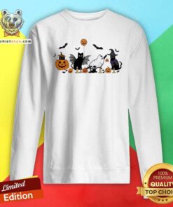 Funny Ghost Cat Halloween Black Cat Sweatshirt