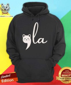 Funny Kamala Harris Comma La Cat Ladies For Harris Hoodie