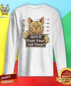 Funny Political Cat Anti Trump Sweatshirt
