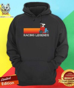 Funny Snoopy And Woodstock In Hose Racecar Racing Legends Hoodie
