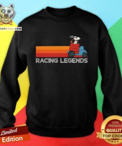 Funny Snoopy And Woodstock In Hose Racecar Racing Legends Sweatshirt