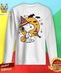 Good Juniors' Peanuts Snoopy And Woodstock Halloween Sweatshirt