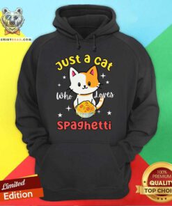 Good Just A Cat Loves Spaghetti Hoodie
