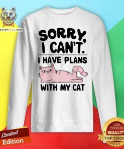 Great Sorry I Can't I Have A Plans With My Cat Sweatshirt