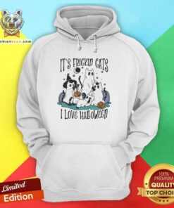 Hot It’s Frickin Cats I Love Halloween Hoodie