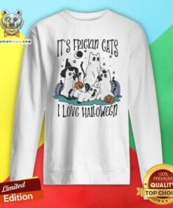 Hot It’s Frickin Cats I Love Halloween Sweatshirt