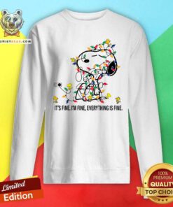 Nice Snoopy And Woodstock It's Fine I'm Fine Everything Is Fine Sweatshirt