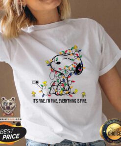 Nice Snoopy And Woodstock It's Fine I'm Fine Everything Is Fine V-neck