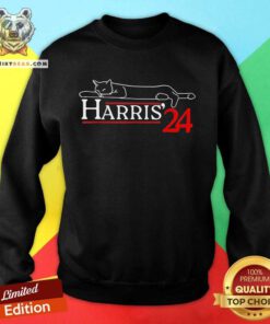 Official Cat Ladies For Kamala Funny Cat 2024 President Sweatshirt
