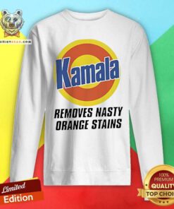 Pretty Ryan Reynolds Wear Kamala Removes Nasty Orange Stains Sweatshirt
