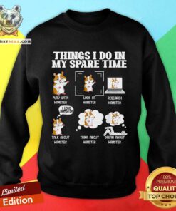 Awesome Things I Do In My Spare Time Hamster Pet Sweatshirt