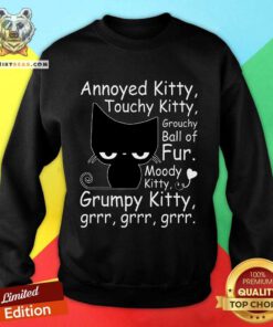 Funny Angry Cat Kitten Lover Attitude Sweatshirt