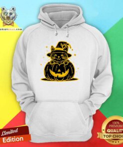 Funny Happy Halloween Cute Cartoon Cat Pumpkin Hoodie