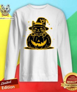 Funny Happy Halloween Cute Cartoon Cat Pumpkin Sweatshirt