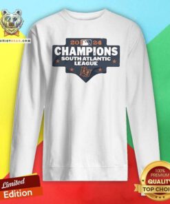 Good 2024 Bowling Green Hot Rods Championship Sweatshirt
