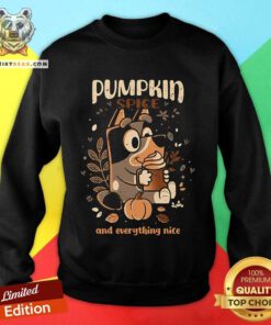 Good Heeler Pumpkin Spice And Everything Nice Sweatshirt