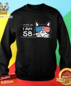 Good I'm Not 59 I Am 58 Plus 1 Middle Finger Cat Flip Sweatshirt