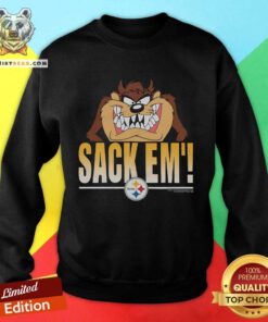 Great Looney Tunes Taz Sack Em' X Pittsburgh Steelers Sweatshirt
