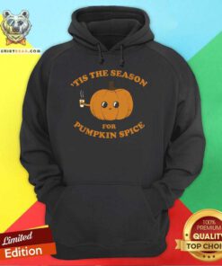 Nice It's Pumpkin Spice Season Hoodie