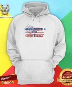 Original Washington D.C For Harris Walz 2024 Flag Hoodie