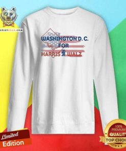 Original Washington D.C For Harris Walz 2024 Flag Sweatshirt