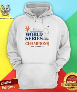 Awesome New York Mets 2024 World Series Champions Locker Room Logo Hoodie