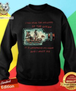 Funny One Piece Pirate Ship In A Bottle Sweatshirt