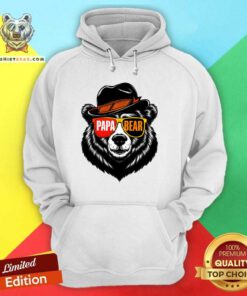Funny Papa Bear Face Sunglasses Papa Bear Hoodie