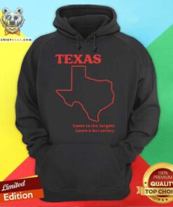Funny Texas State Humorous Retro Hoodie