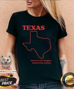 Funny Texas State Humorous Retro V-neck