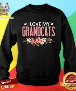 Hot I Love My Grandcats Cat Lover Granddad Grandma Grandparent Sweatshirt