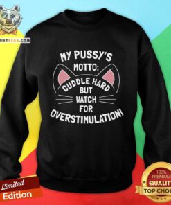 Hot My Pussy's Motto Cuddle Hard But Watch For Overstimulation Sweatshirt