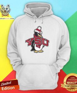 Nice Youngstown Penguins Football YSU Pete Mascot Hoodie