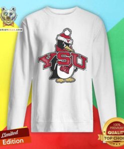 Nice Youngstown Penguins Football YSU Pete Mascot Sweatshirt