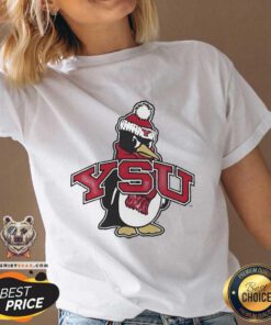Nice Youngstown Penguins Football YSU Pete Mascot V-neck