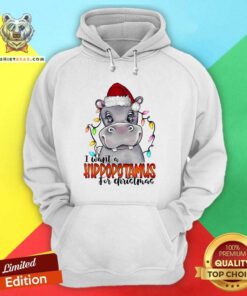 Original I Want A Hippopotamus For Christmas Hoodie